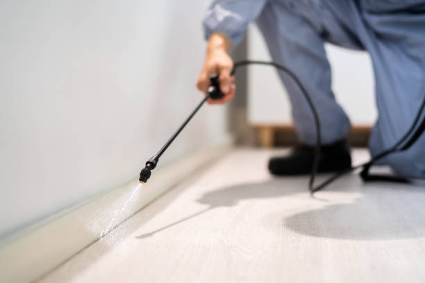 Licensed Pest Control service in Lincoln, ID - Show Me Pest Control